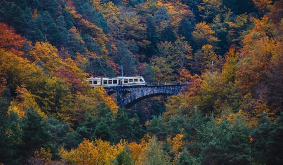 Riparte il treno del foliage, tra le ferrovie più belle del mondo